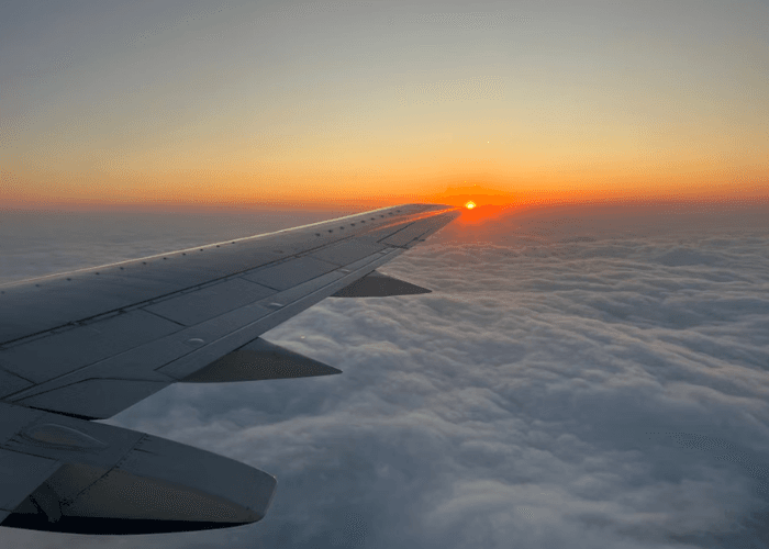 Flights